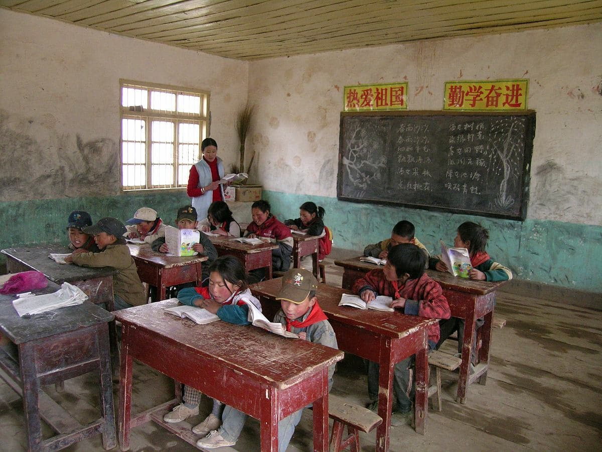 图片3